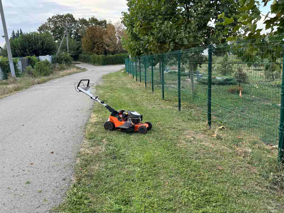 Фото новости