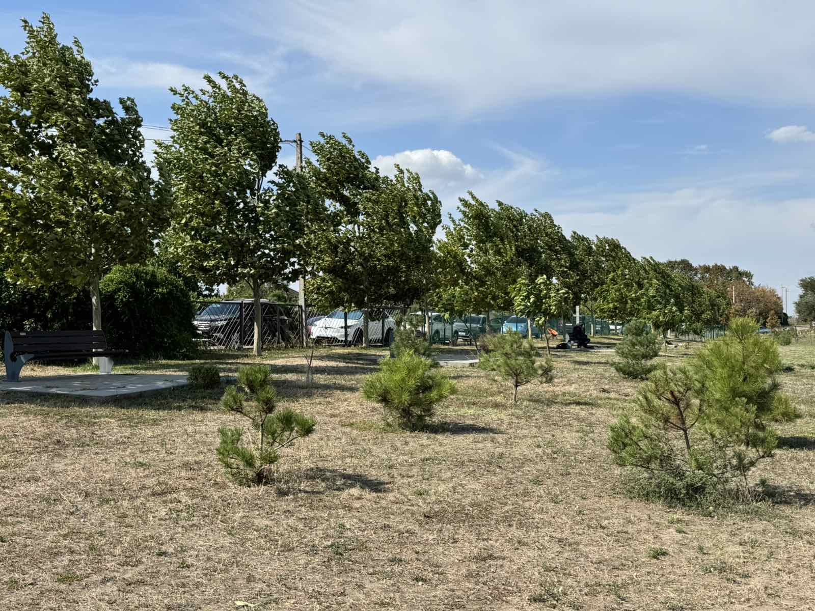 Фото новости