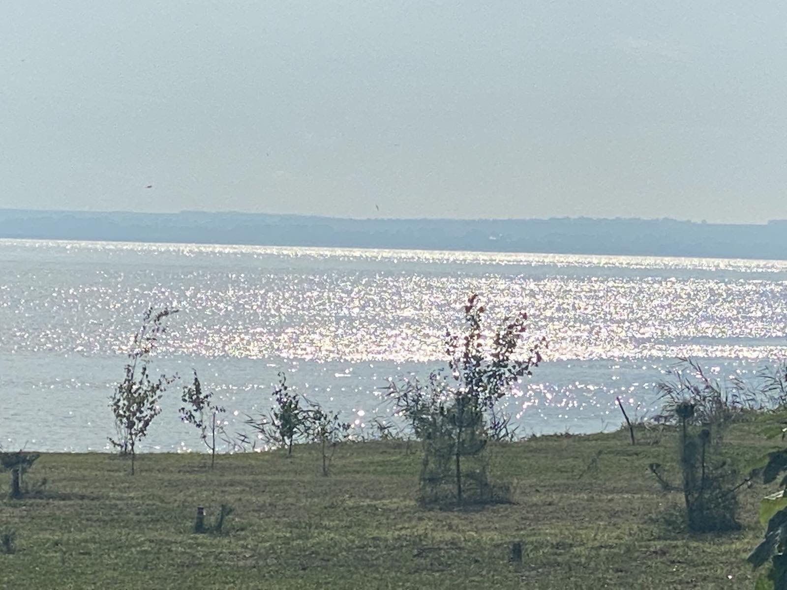 Фото новости