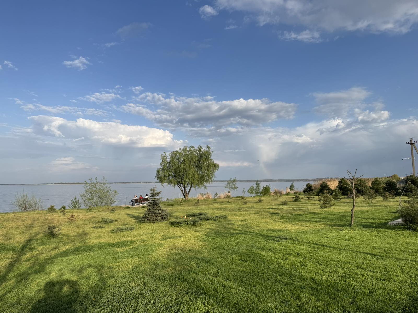 Фото новости