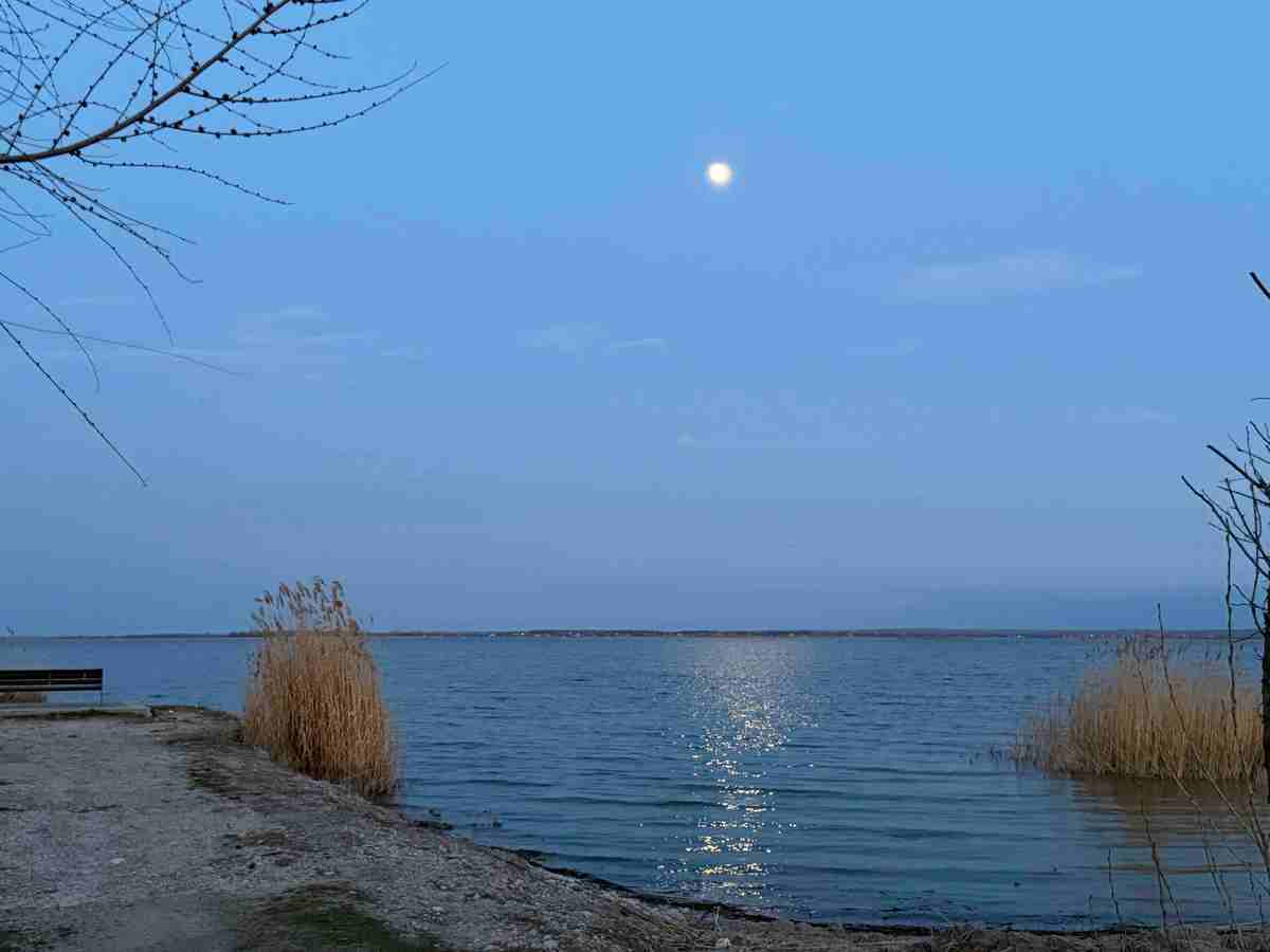 Фото новости