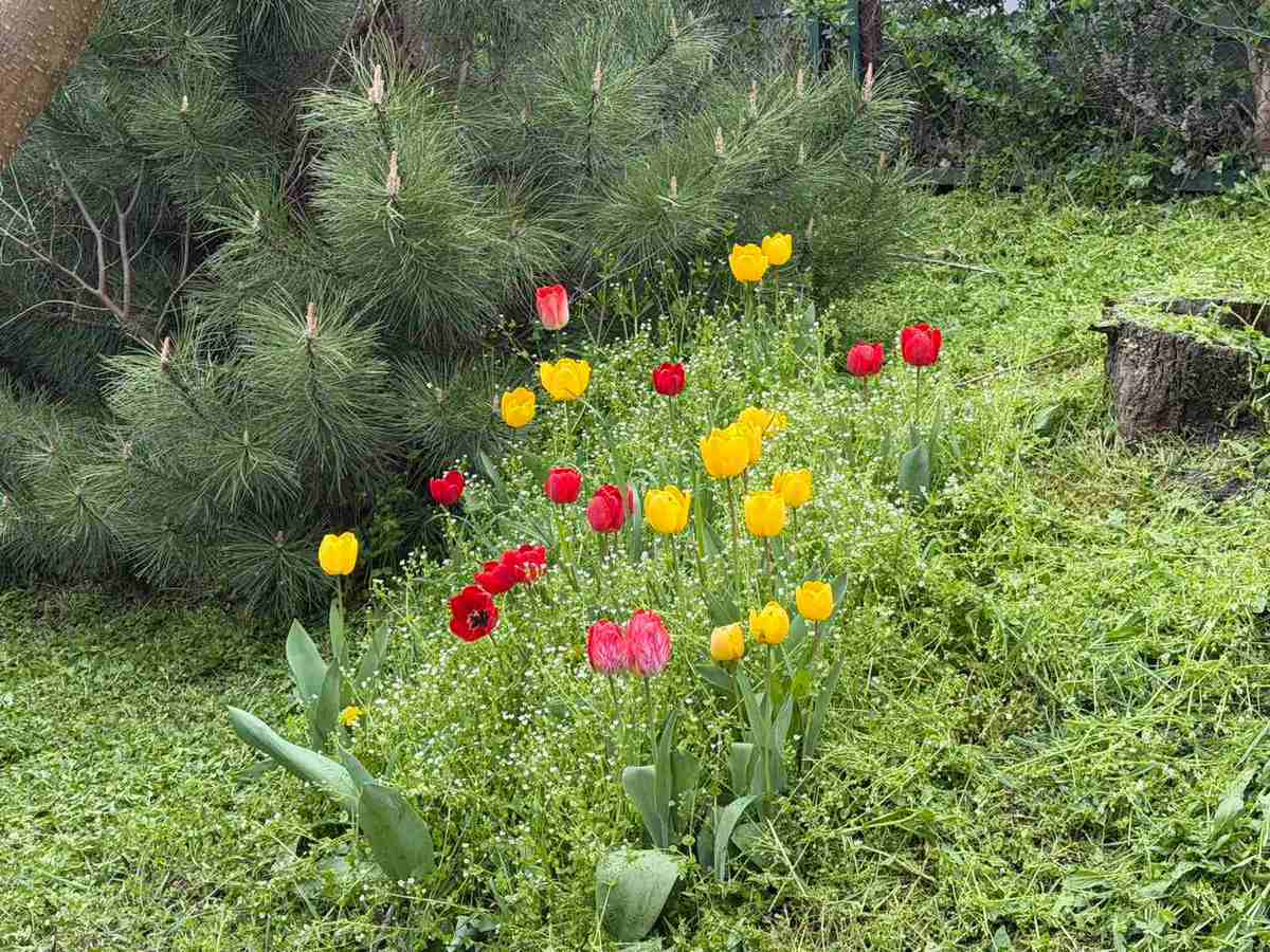 Фото новости