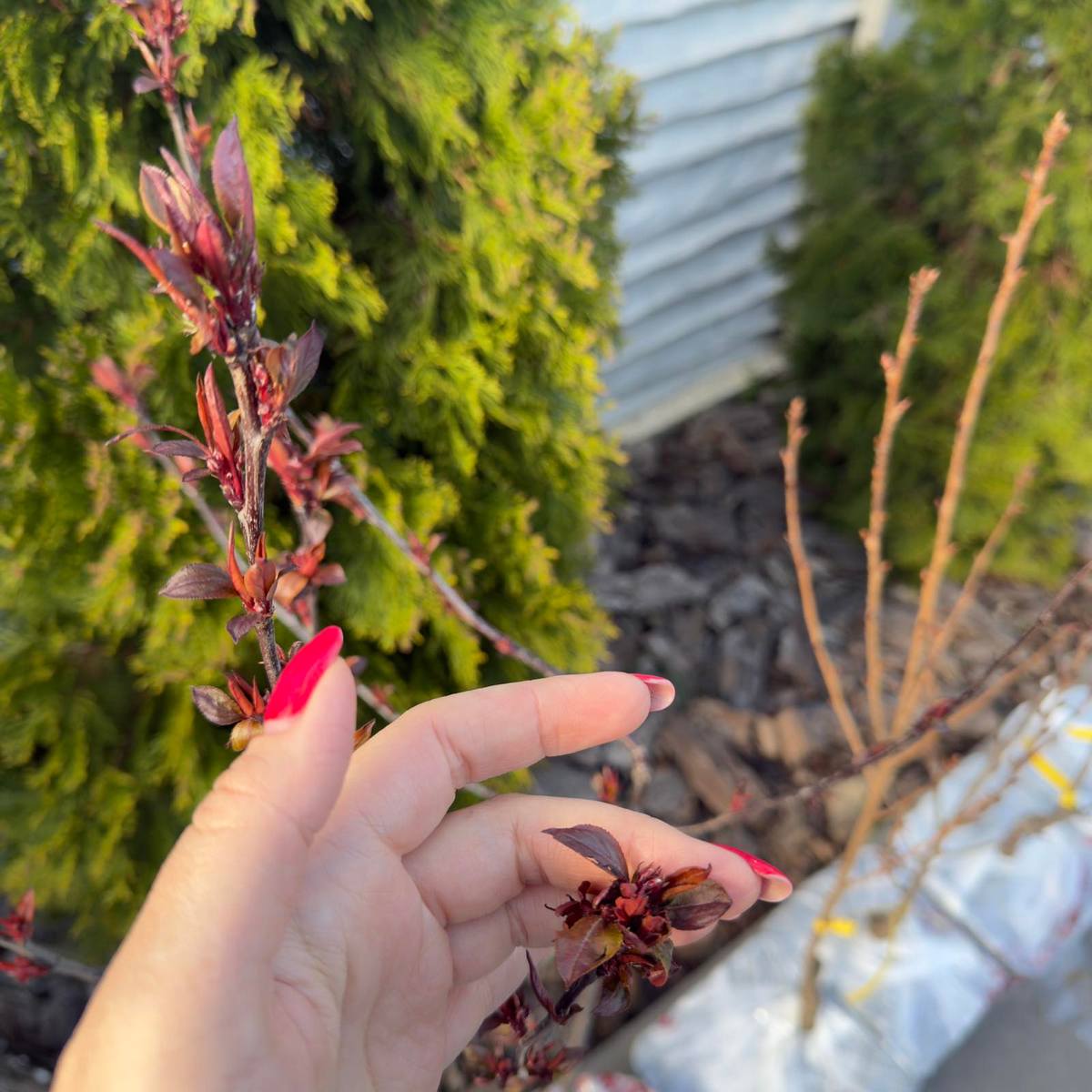 Фото проекта